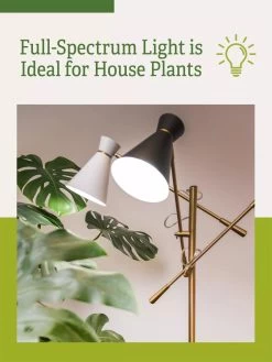Adjustable 3-Arm Grow Lamp -Gardening Sales Store 3 Arm 1
