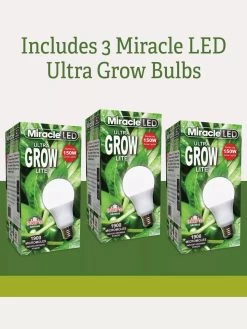 Adjustable 3-Arm Grow Lamp -Gardening Sales Store 3 Arm 2