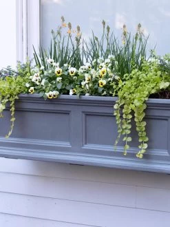 Fairfield Self-Watering Window Box, 3’ -Gardening Sales Store 39 344 9360 tif