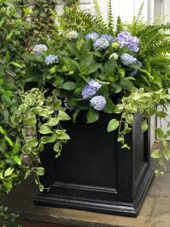 Fairfield Self-Watering Square Planter, 20” X 20” -Gardening Sales Store 39 618 205V tif