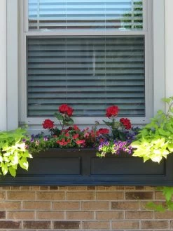 Fairfield Self-Watering Window Box, 4’ -Gardening Sales Store 39345 07V tif