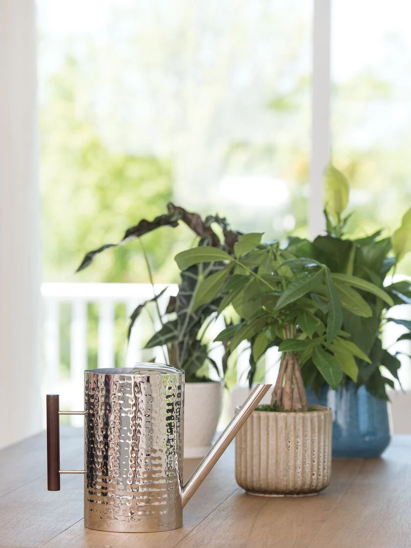 Stainless Steel Watering Can 2 Stainless Steel Watering Can - Image 2