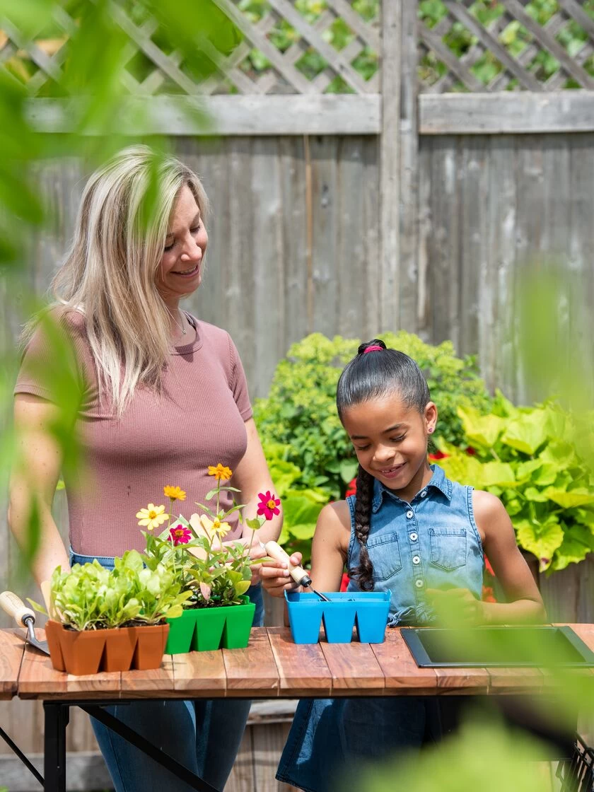Sili-Seedlings® Seedling Tray, 6-Cell 2 Sili-Seedlings® Seedling Tray, 6-Cell - Image 2