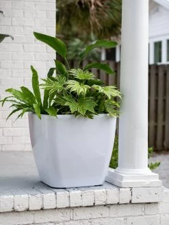 Viva Square Self-Watering Rolling Planter, 20" Diameter, Set Of 2 -Gardening Sales Store 3 4 crop 8612930 0033 tif