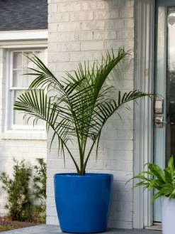 Viva Round Self-Watering Rolling Planter, 20" Diameter, Set Of 2 14 Viva Round Self-Watering Rolling Planter, 20" Diameter, Set Of 2 -Gardening Sales Store 3 4 crop 8612933 0024 tif