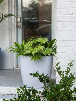 Viva Round Self-Watering Rolling Planter, 20" Diameter, Set Of 2 15 Viva Round Self-Watering Rolling Planter, 20" Diameter, Set Of 2 -Gardening Sales Store 3 4 crop 8612933 0025 tif