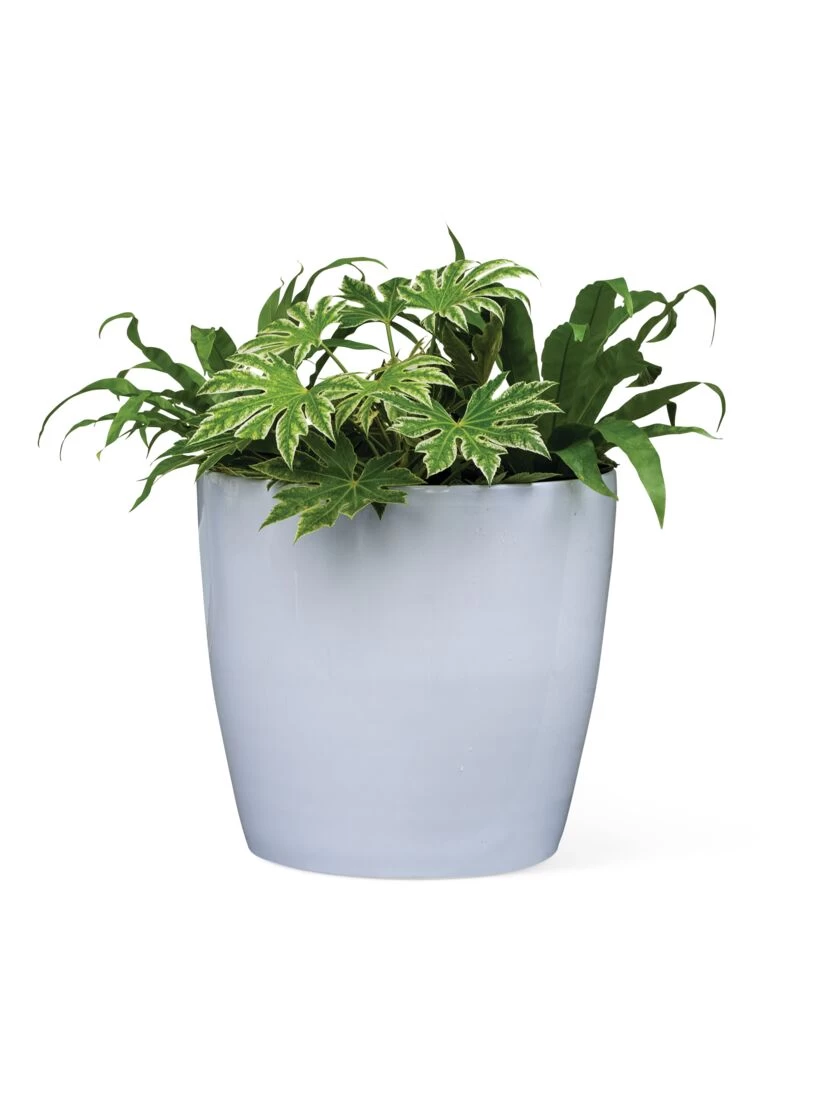 Viva Round Self-Watering Rolling Planter, 20" Diameter, Set Of 2 6 Viva Round Self-Watering Rolling Planter, 20" Diameter, Set Of 2 - Image 6