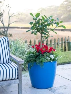 Viva Round Self-Watering Rolling Planter, 20" Diameter, Set Of 2 16 Viva Round Self-Watering Rolling Planter, 20" Diameter, Set Of 2 -Gardening Sales Store 3 4 crop 8612933 5312 tif