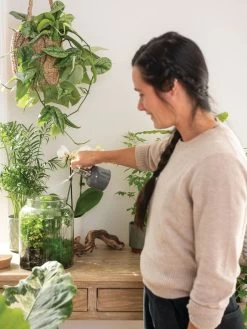 Indoor Plant Mister -Gardening Sales Store 3 4 crop 8612962 3792