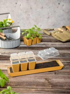 Gardener's Best® Humidity Dome, Set Of 2 -Gardening Sales Store 3 4 crop 8613067 10063