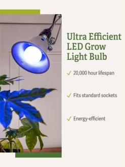 Miracle LED® Grow Light Bulb, Blue -Gardening Sales Store 3 4 crop Miracle Bulb Blue 1