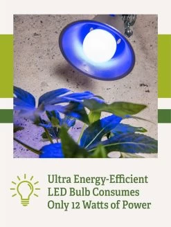 Miracle LED® Grow Light Bulb, Blue -Gardening Sales Store 3 4 crop Miracle Bulb Blue 2