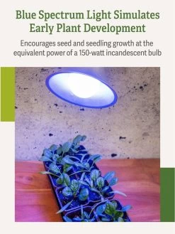 Miracle LED® Grow Light Bulb, Blue -Gardening Sales Store 3 4 crop Miracle Bulb Blue 3
