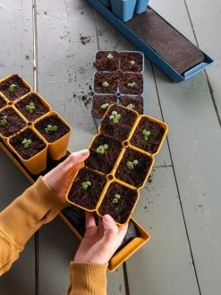 Gardener's Best® XL Seed Starting Kit -Gardening Sales Store 40 135 6186