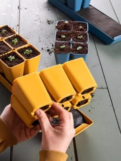 Gardener's Best® XL Seed Starting Kit -Gardening Sales Store 40 135 6188