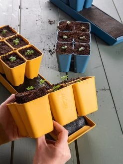 Coco Coir Seed Starting Mix -Gardening Sales Store 40 135 6192