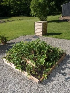 3-Tier Strawberry Bed -Gardening Sales Store 8586752 2341 tif