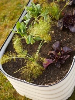 Birdies™ Modular Metal Raised Bed -Gardening Sales Store 8586930 6019 tif