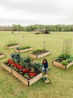 Deep Root Raised Beds, 14" Deep 4' Wide 10 Deep Root Raised Beds, 14" Deep 4' Wide -Gardening Sales Store 8587813 505 tif