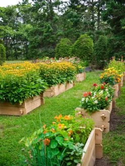 Farmstead Cedar Raised Garden Beds, 2' 11 Farmstead Cedar Raised Garden Beds, 2' -Gardening Sales Store 8588137 05V tif