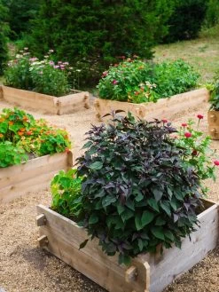 Farmstead Cedar Raised Garden Beds, 3' 8 Farmstead Cedar Raised Garden Beds, 3' -Gardening Sales Store 8588143 09V tif