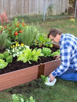 Composite Raised Bed With 1" Boards, 11" -Gardening Sales Store 8588274 02V tif
