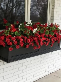 Fairfield Self-Watering Window Box, 5’ 16 Fairfield Self-Watering Window Box, 5’ -Gardening Sales Store 8588938 100V tif