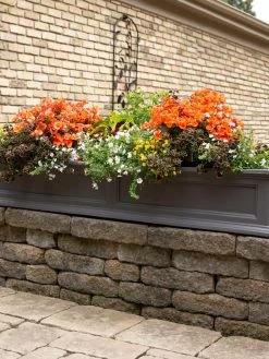 Fairfield Self-Watering Window Box, 5’ 13 Fairfield Self-Watering Window Box, 5’ -Gardening Sales Store 8588938 105V tif