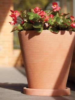 Universal Round Planter Saucers -Gardening Sales Store 8589526 001V tif