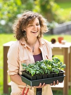 Growease Seed Starter Kit -Gardening Sales Store 8589987 0446 tif