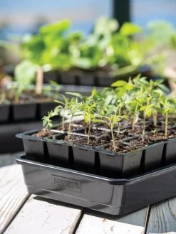 Gardening Sales Store -Gardening Sales Store 8589987 7874 tif