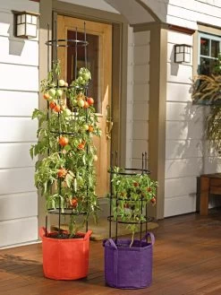 Gardener's Best® Tomato Grow Bag Set 7 Gardener's Best® Tomato Grow Bag Set -Gardening Sales Store 8590013 170 tif