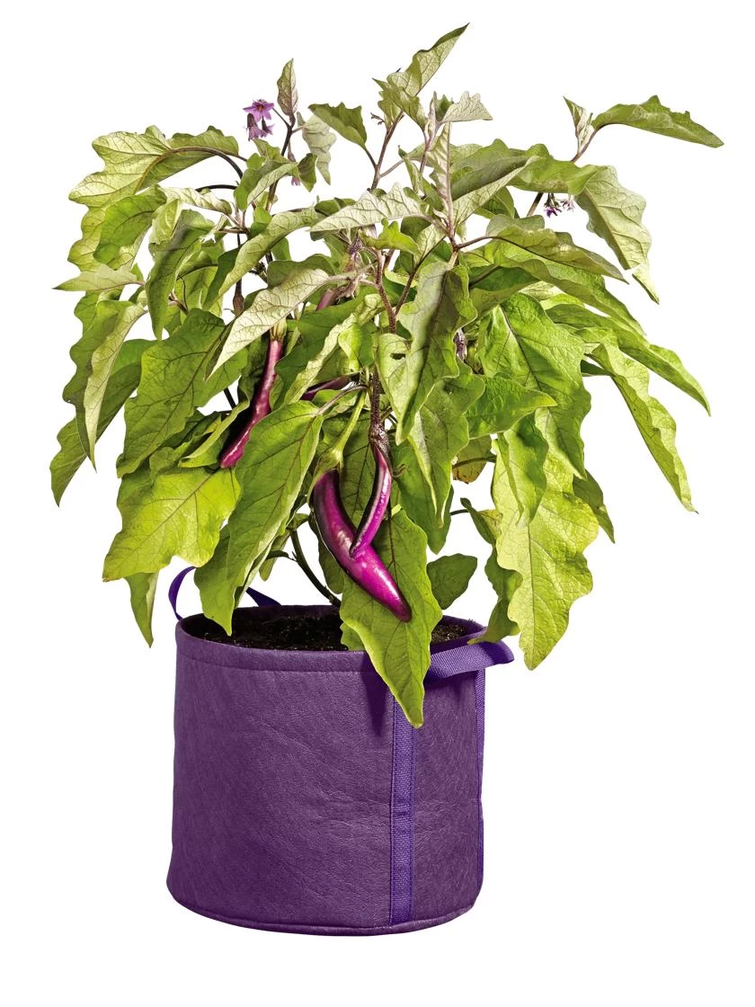 Gardener's Best® Universal Grow Bag 4 Gardener's Best® Universal Grow Bag - Image 4