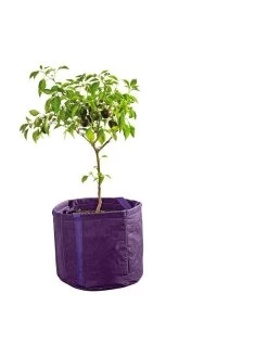 Gardener's Best® Universal Grow Bag 12 Gardener's Best® Universal Grow Bag -Gardening Sales Store 8590024PR 249 tif