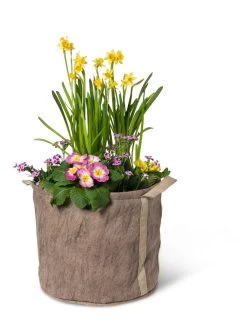 Gardener's Best® Universal Grow Bag 13 Gardener's Best® Universal Grow Bag -Gardening Sales Store 8590024 7307 tif