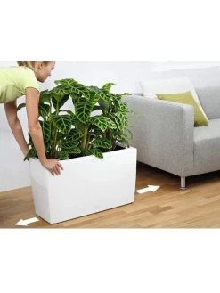 Lechuza® Cararo Rectangular Indoor Planter With Casters -Gardening Sales Store 8590295 03v