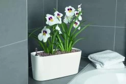 Lechuza® Delta Self-Watering Windowsill Planters -Gardening Sales Store 8590298 01V tif