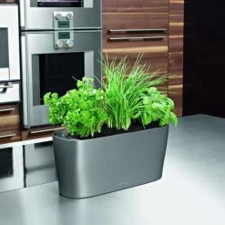 Lechuza® Delta Self-Watering Windowsill Planters -Gardening Sales Store 8590298 02V tif