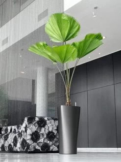 Lechuza® Delta Premium Self-Watering Planters 11 Lechuza® Delta Premium Self-Watering Planters -Gardening Sales Store 8590299 02V tif