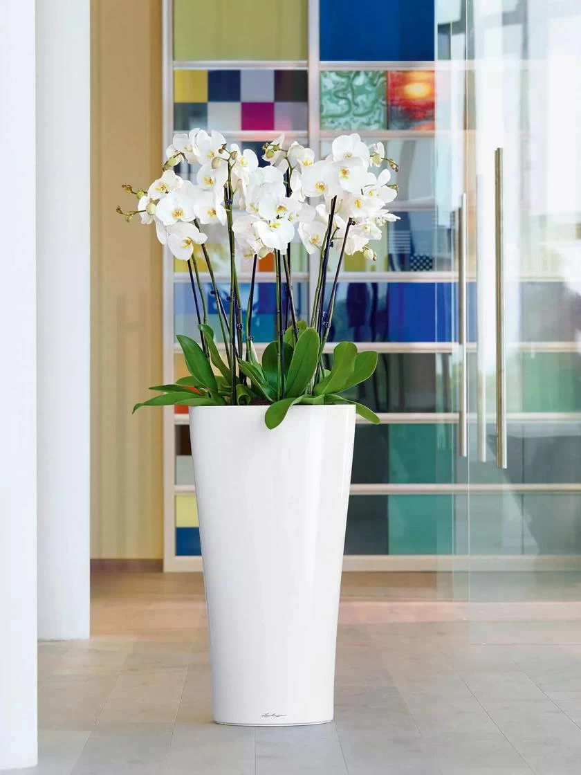 Lechuza® Delta Premium Self-Watering Planters 1 Lechuza® Delta Premium Self-Watering Planters