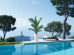 Lechuza® Delta Premium Self-Watering Planters 10 Lechuza® Delta Premium Self-Watering Planters -Gardening Sales Store 8590299 04V tif