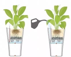 Lechuza® Delta Premium Self-Watering Planters 9 Lechuza® Delta Premium Self-Watering Planters -Gardening Sales Store 8590299 07V tif