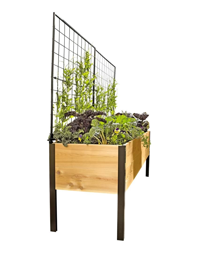 Elevated Planter Box And Space-Maker Pivoting Trellis Set, 2' X 8' 2 Elevated Planter Box And Space-Maker Pivoting Trellis Set, 2' X 8' - Image 2