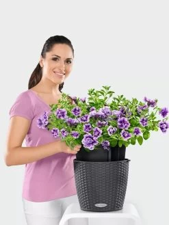 Lechuza® Nido Cottage Wicker Hanging Planter 6 Lechuza® Nido Cottage Wicker Hanging Planter -Gardening Sales Store 8591154GT 006V tif