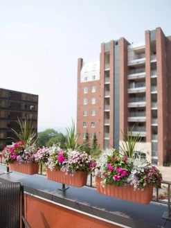 Adjustable Self-Watering Railing Planter, 24" 10 Adjustable Self-Watering Railing Planter, 24" -Gardening Sales Store 8592173TC 2383 tif