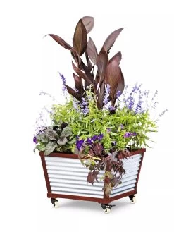 Galvanized Self-Watering Planters -Gardening Sales Store 8592176 5067 tif