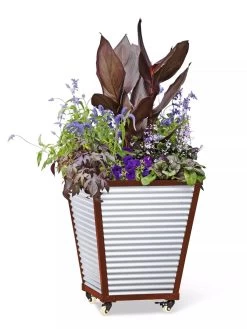 Galvanized Self-Watering Planters -Gardening Sales Store 8592177 5066 tif