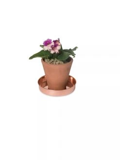Extra Small Round Copper Plant Tray, 8" -Gardening Sales Store 8593528 2922 tif