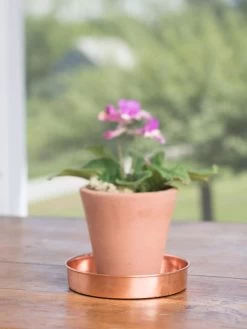 Extra Small Round Copper Plant Tray, 8" -Gardening Sales Store 8593528 4522 tif