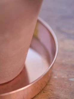 Extra Small Round Copper Plant Tray, 8" -Gardening Sales Store 8593528 4529 tif